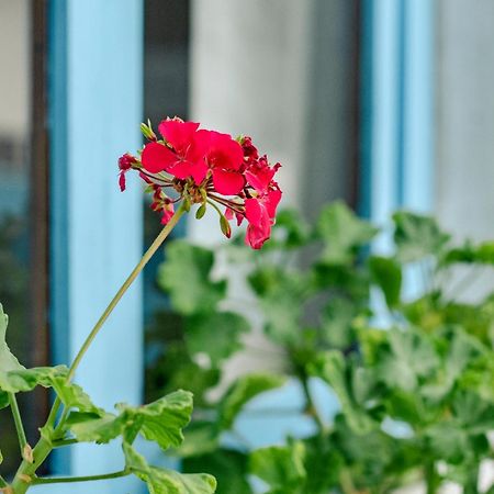 Hotel Casa Blanca 푸에르토 바케리조 모레노 외부 사진