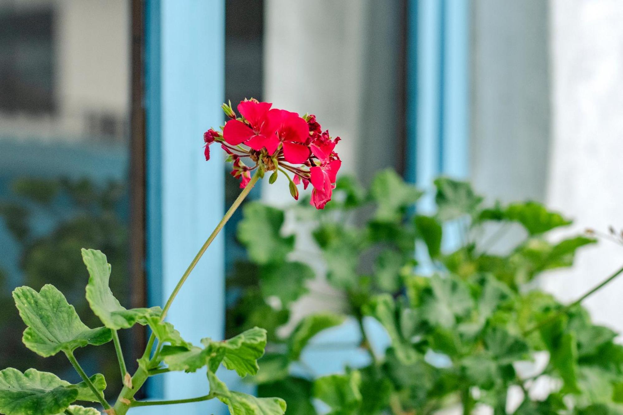 Hotel Casa Blanca 푸에르토 바케리조 모레노 외부 사진